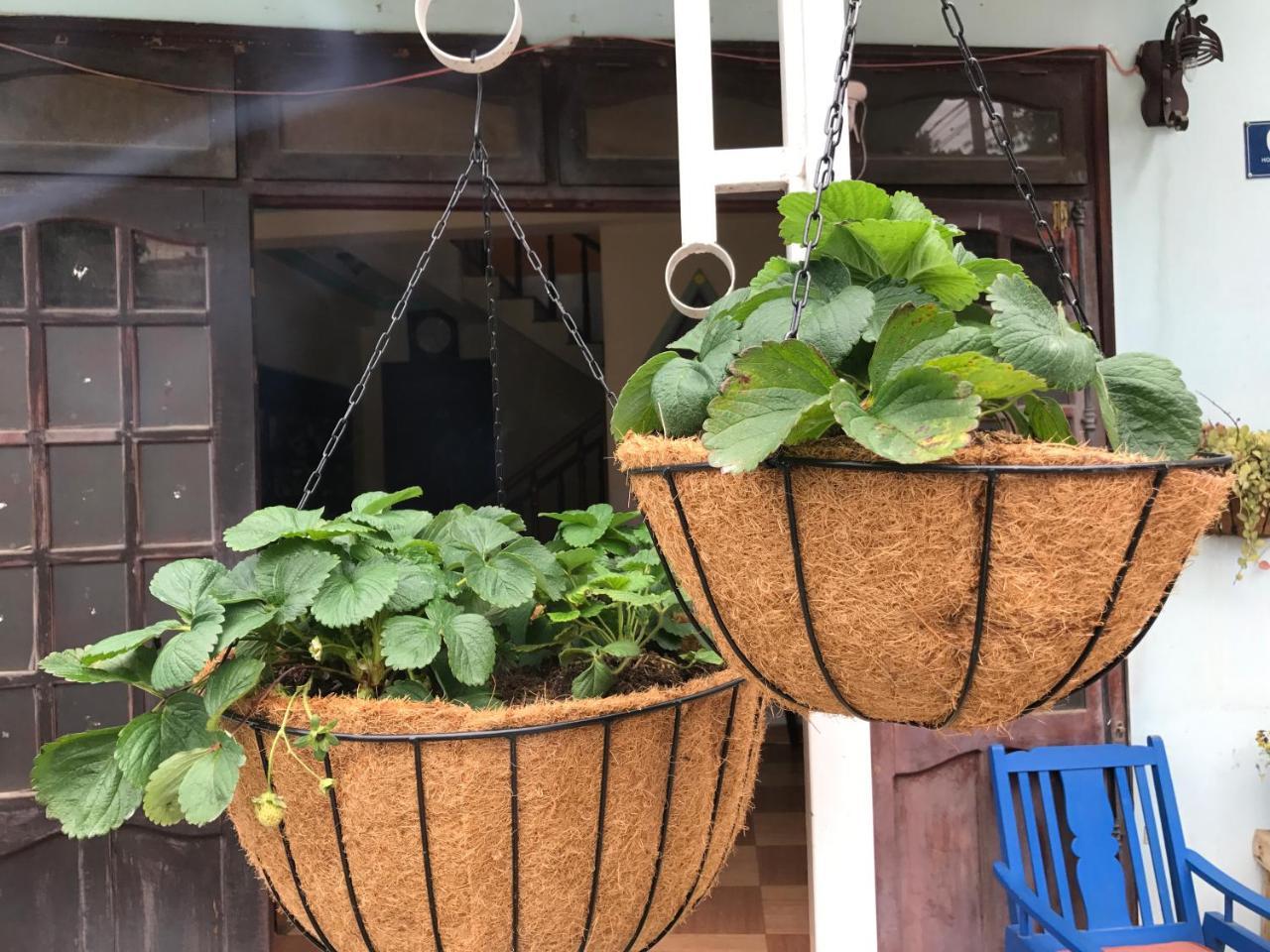 Dalat Coffee House Homestay Ngoại thất bức ảnh